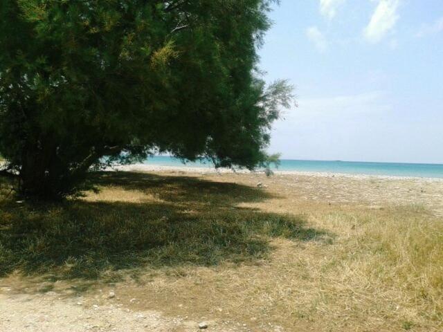 Naxos Σπίτι διακοπών Αγιασσός